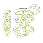 080