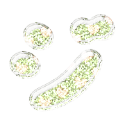 142