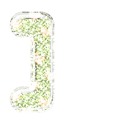 241