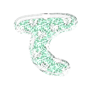 019