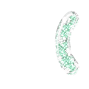 234