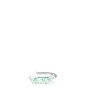 250
