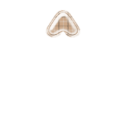 231