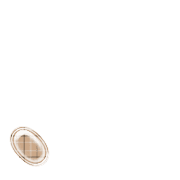 256