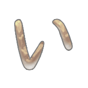 002