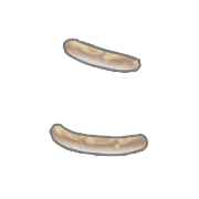 010