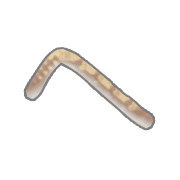 029