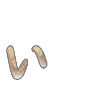 048
