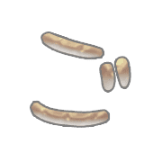 060