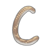 164