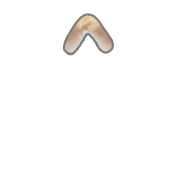 231