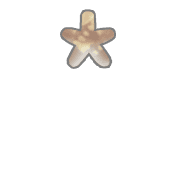 233