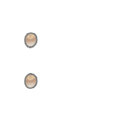 244