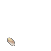 256