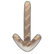 261