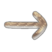 262