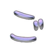 060