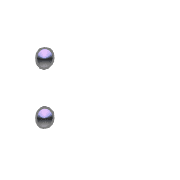244