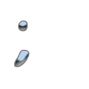 243