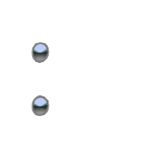 244