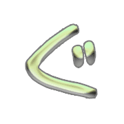 058