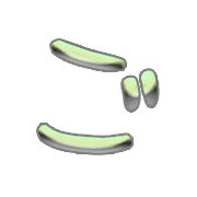 060