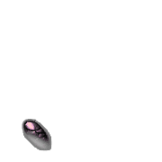 256