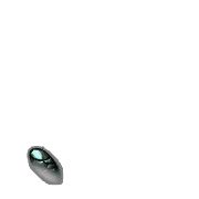256