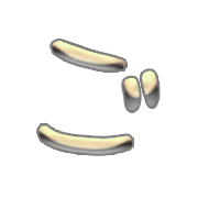 060