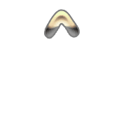 231