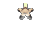 233