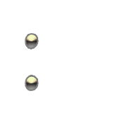 244