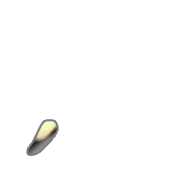 245