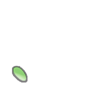256
