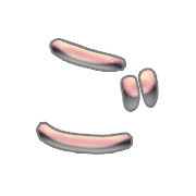 060