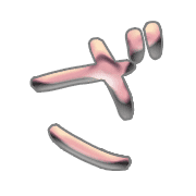 061