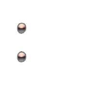 244