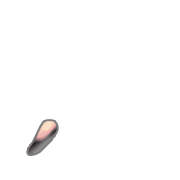 245