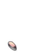 256