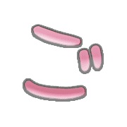 060