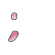 243
