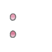 244