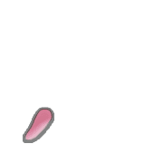 245