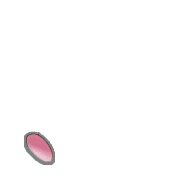 256