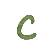 029