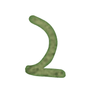 054