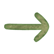 101