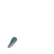 084