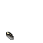256