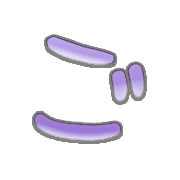060
